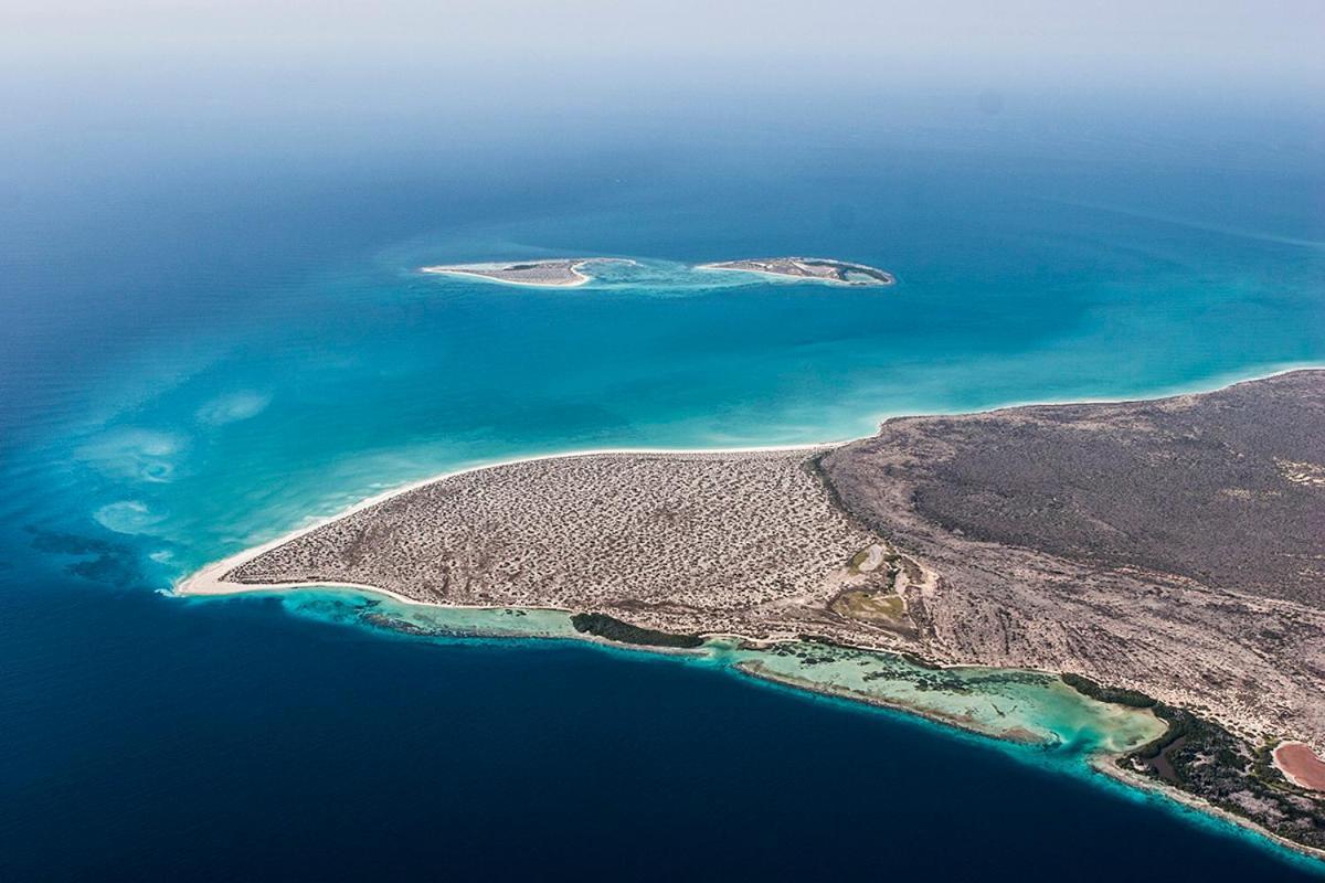 Alojamiento Cama Carpa Y Yate Isla La Tortuga Venezuela, Hotell Cayo Herradura Exteriör bild