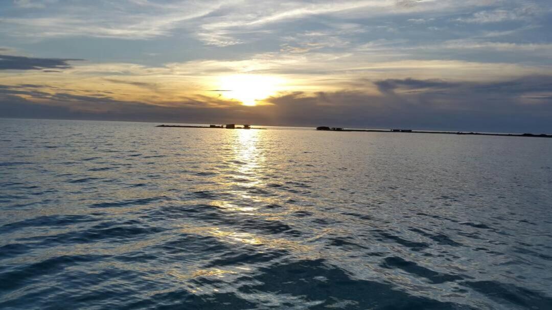 Alojamiento Cama Carpa Y Yate Isla La Tortuga Venezuela, Hotell Cayo Herradura Exteriör bild