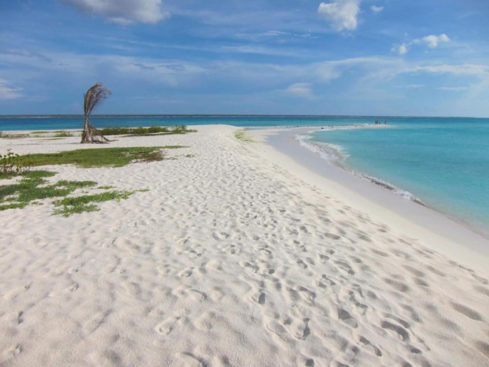 Alojamiento Cama Carpa Y Yate Isla La Tortuga Venezuela, Hotell Cayo Herradura Exteriör bild